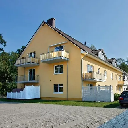 Bernstein Moewennest *