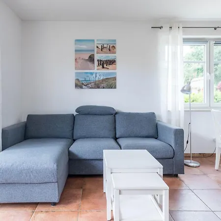 Bernstein Moewennest *