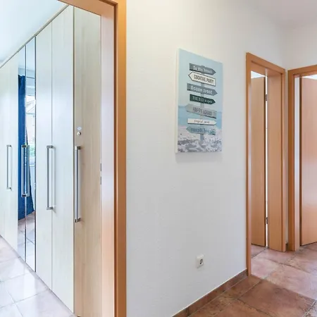 Bernstein Moewennest